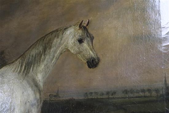 J.W. Webb. 19th century English School, oil on canvas, Dapple grey horse in a landscape, signed, 63 x 76cm
